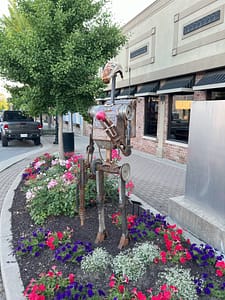 Beautiful Nappanee Indiana